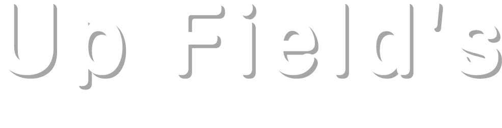株式会社Up Field's